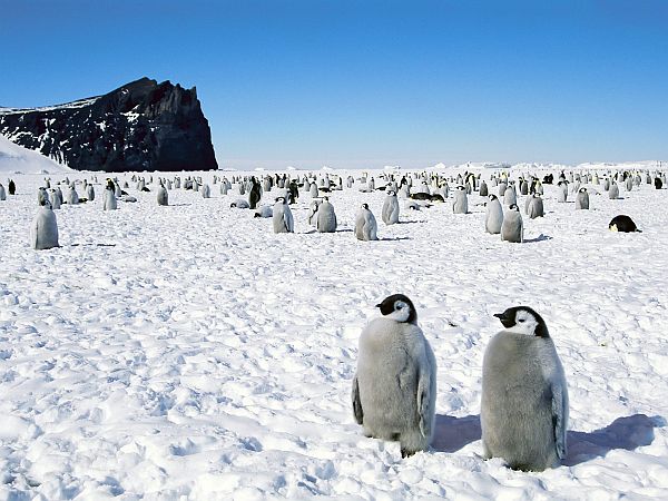 Antartica