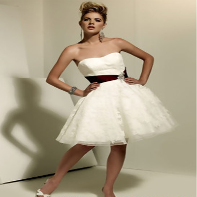 Ball Gown Tulle Short Wedding Dresses 2011