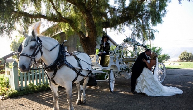 Cinderella Wedding Theme