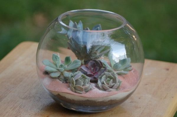 DIY Succulent terrarium table centerpieces