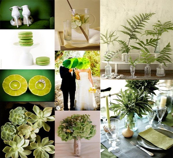 Eco friendly wedding