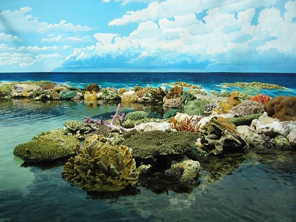 Great Barrier Reef