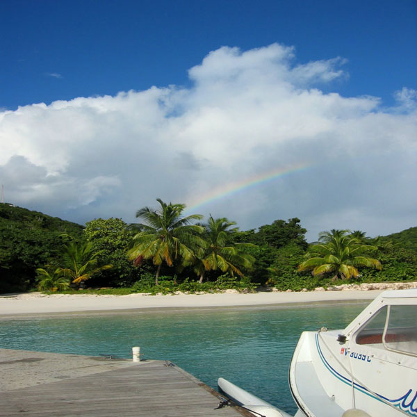 Guana island