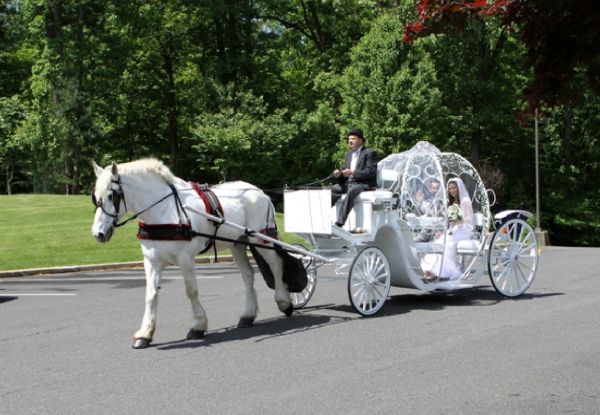 Horse Ride or Horse-Drawn Carriage