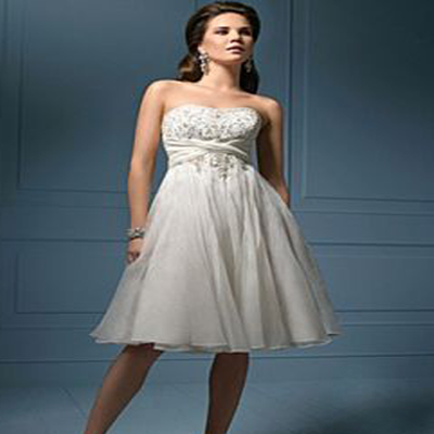 Informal Mini Wedding Dresses Organza Strapless Short Gowns WD02007