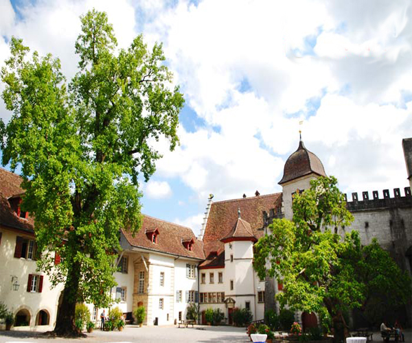 Schloss Lenzburg