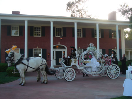 Wedding Transport