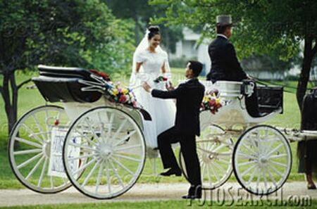 wedding transportation wedding vehicle