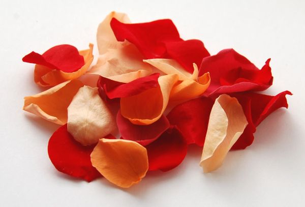www.confettidirect.co.uk_red orange Rose Petals_£7 the real flower petal confetti company wedding petals autumn fall