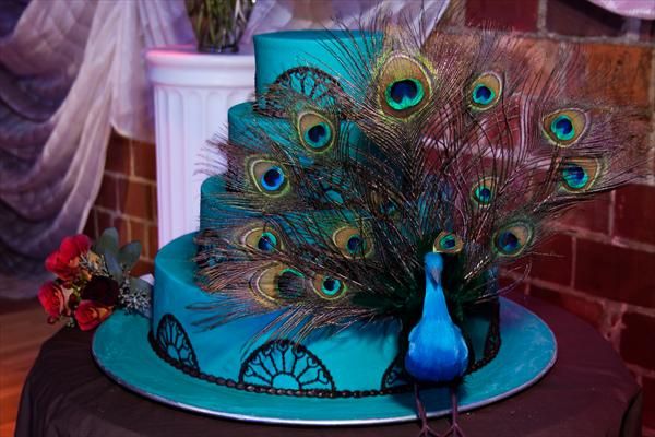 Peacock Themed Wedding _5