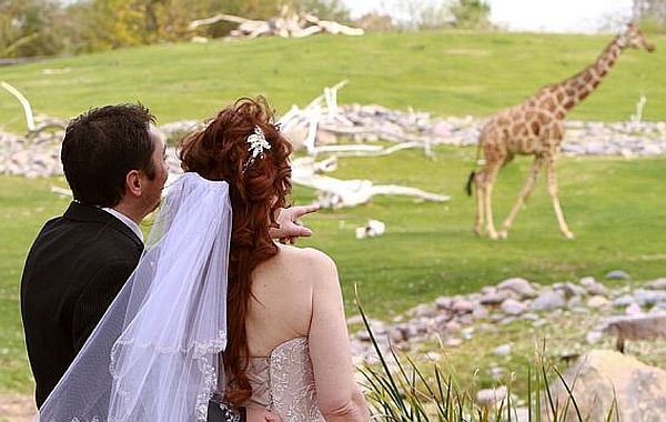 The Phoenix Zoo  wedding