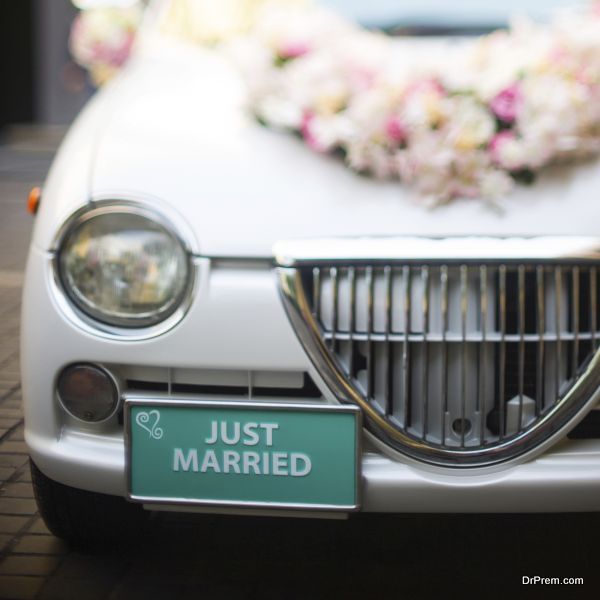 Just married wedding sign for car or decoration