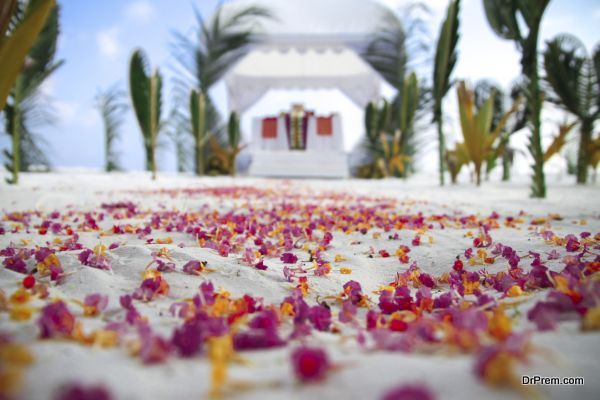 tropical wedding (2)