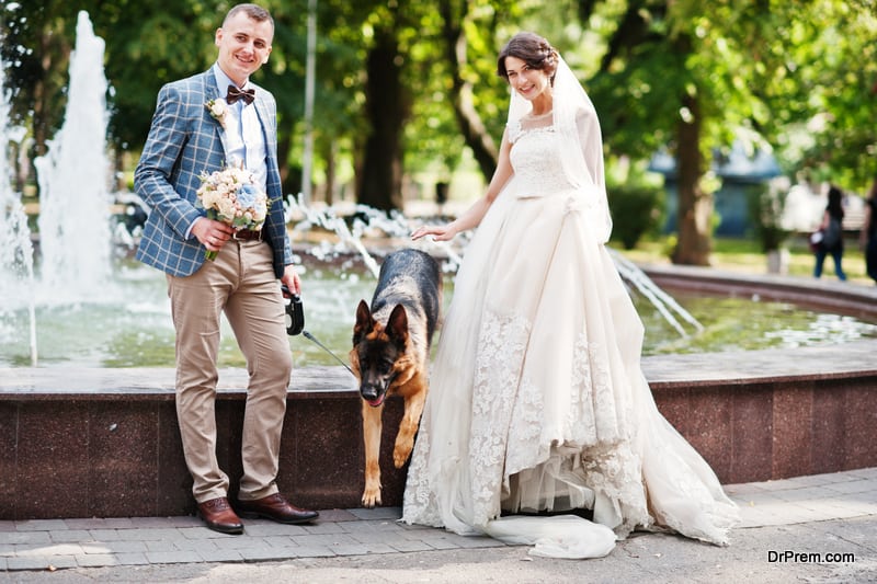 including pets in your wedding ceremony