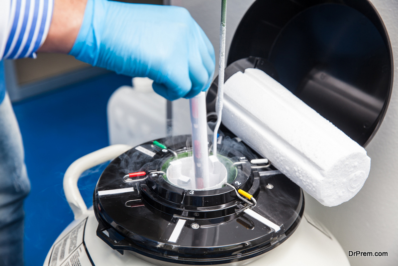 cryopreservation of the embryos